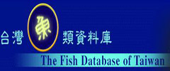 臺灣魚類資料庫